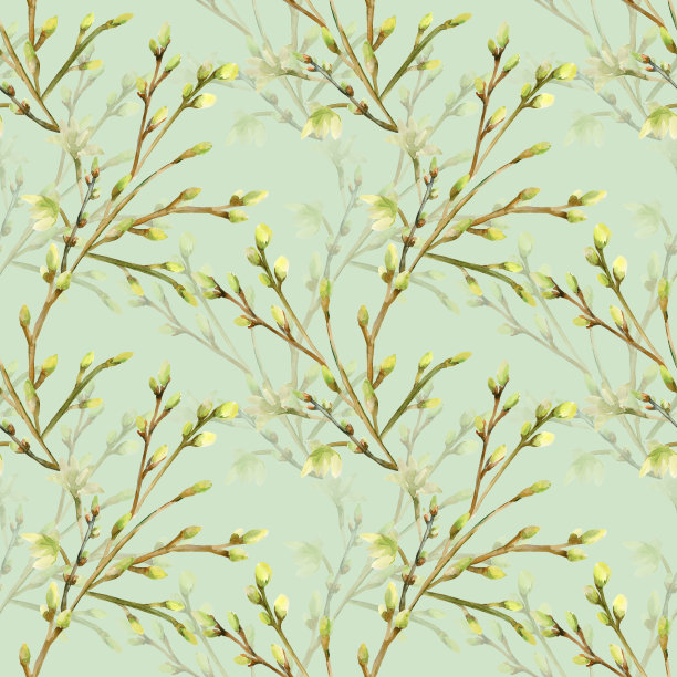 水彩插图的一个开花的树枝。图片下载