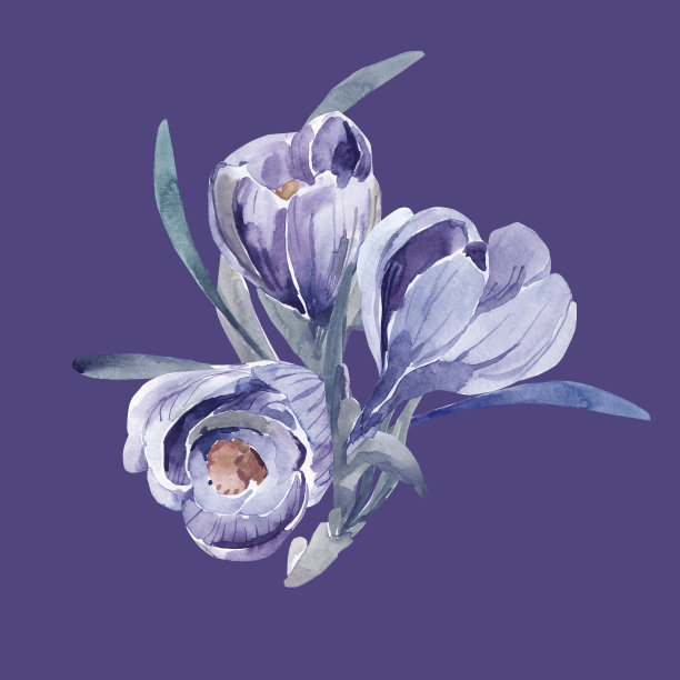 番红花花束模式图片下载