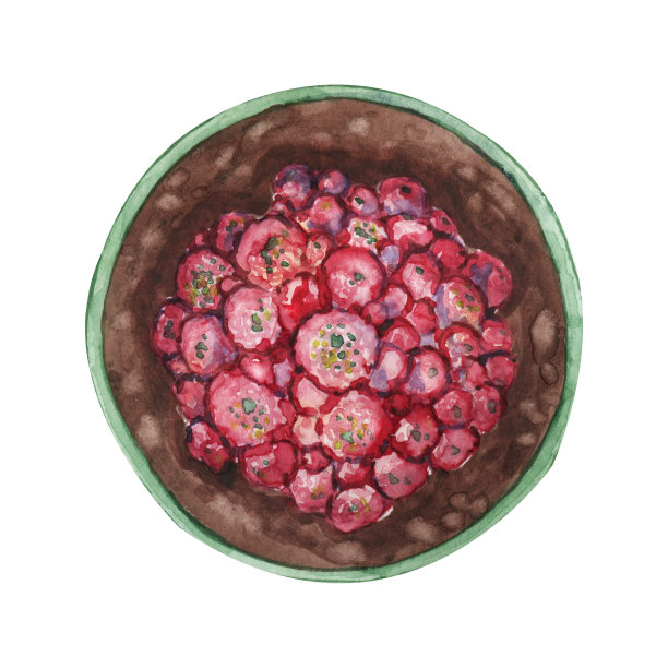 粉红色肉质植物，绿色仙人掌，带露珠的热带植物。手绘水彩插图孤立的白色背景特写。图片下载