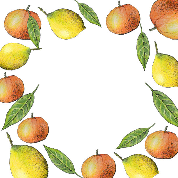 由柑橘类水果制成的框架。柠檬橙边。放置标签。美丽的植物插图手绘。黑色的轮廓图片下载