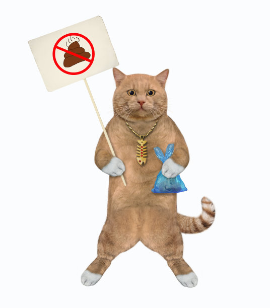 略带红色的猫拿着带便便的蓝色袋子图片下载