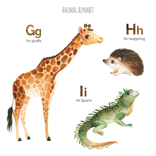 和有趣的动物一起学习字母图片下载