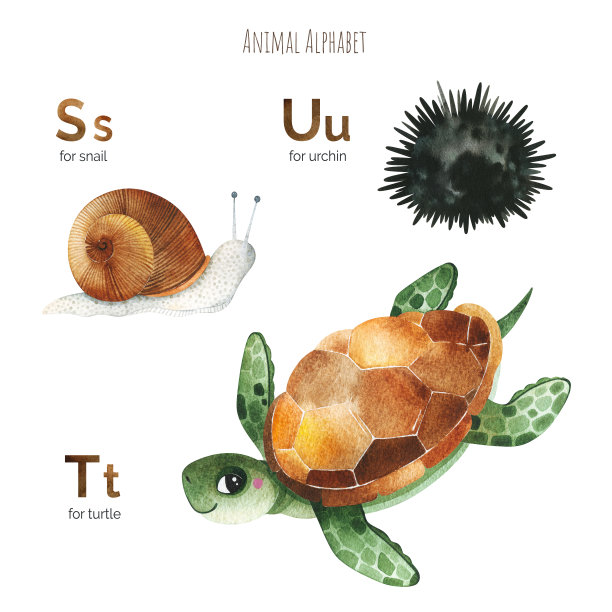 可爱的动物字母表图片下载