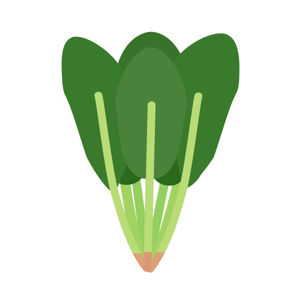 简单的菠菜剪贴画，平面设计图片下载