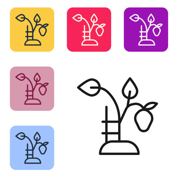 黑线草莓灌木与浆果的图标图片下载