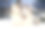 两只可爱的长毛瑞士牧羊犬躺在雪地上图片下载