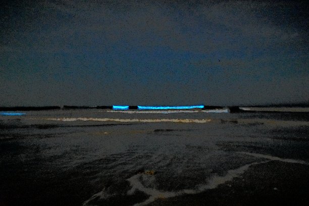 夜间红潮图片下载