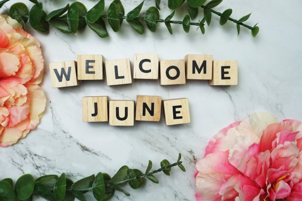 欢迎六月字母用绿叶和粉红色的花朵平躺在大理石的背景上图片下载