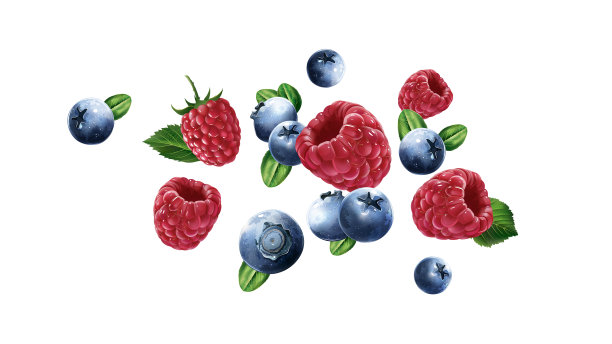 树莓和蓝莓都飞在白色的树上图片下载