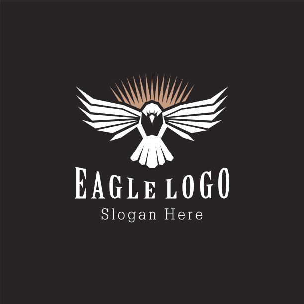 鹰飞野鹰鸟图片下载