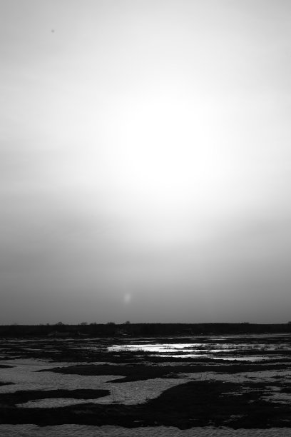 黑色和白色的池塘在冬天，电影复古照片图片下载