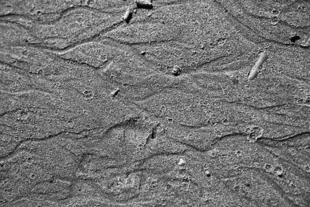 在海洋涨潮和退潮后的沙质海滩上，黑色和白色抽象的沙质背景图片下载