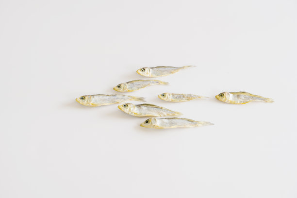 分离的小鱼干图片下载