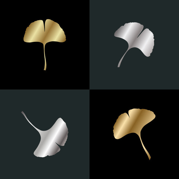 银杏叶解算器和金黄色的叶子图片下载