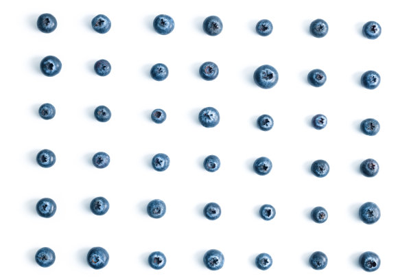 白色背景上的蓝色蓝莓图案图片下载