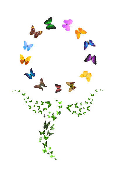一组飞舞的蝴蝶，花的形状，孤立在白色的背景。热带昆虫。用于设计的彩色飞蛾图片下载