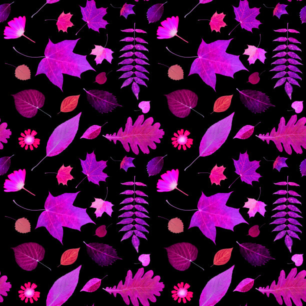 无缝模式的秋叶孤立在黑色背景图片下载