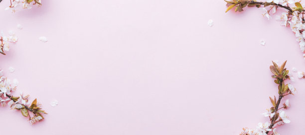 4月自然花卉。春天的花朵是粉红色的，五月的花朵是粉红色的。为条幅，枝上樱花盛开作背景。梦幻浪漫形象，景观全景，复制空间。图片下载