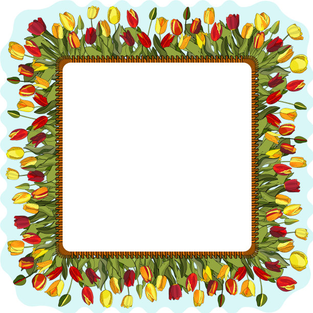 从彩色可爱的郁金香储备花卉框架图片下载