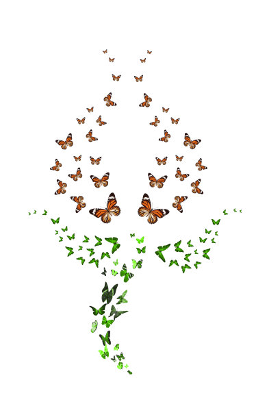 一组郁金香形状的蝴蝶孤立在白色的背景上。红色的花蕾。热带昆虫。用于设计的彩色飞蛾图片下载