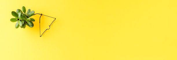 带眼镜和小绿植的办公桌面概念。商业背景。横幅图片下载