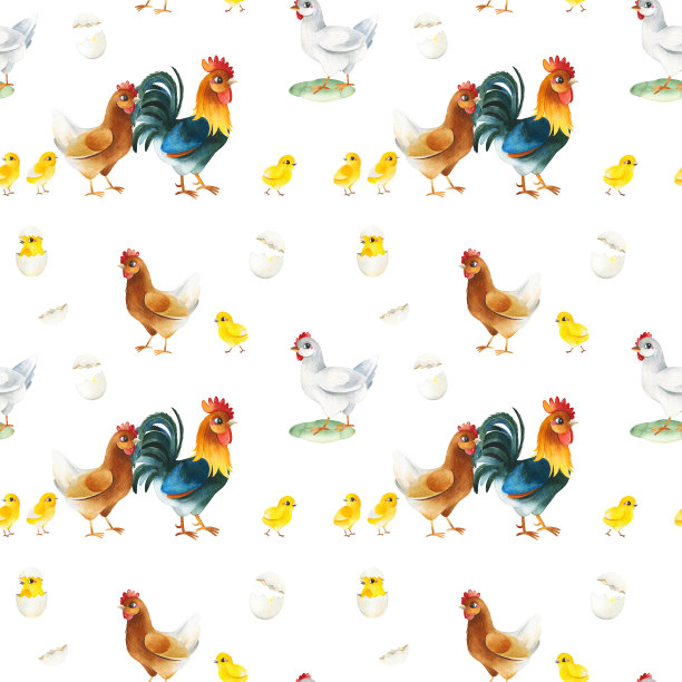 水彩画与滑稽家庭公鸡，母鸡和小鸡。图片下载