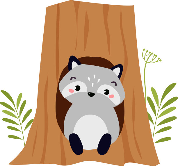 滑稽的浣熊像森林里的动物一样蹦了出来图片下载