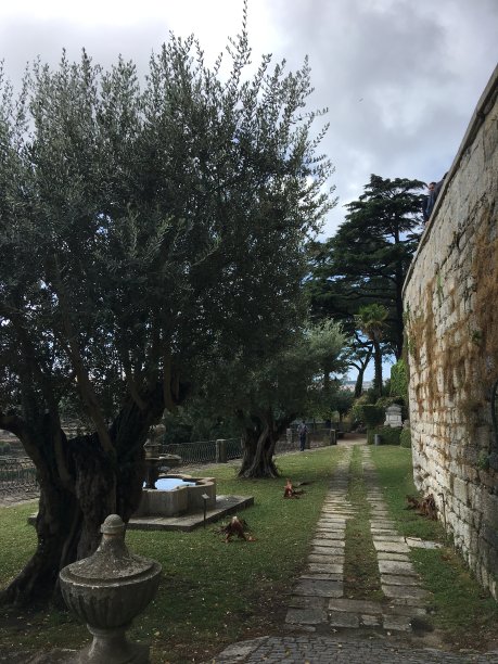 波尔图的公共公园图片下载