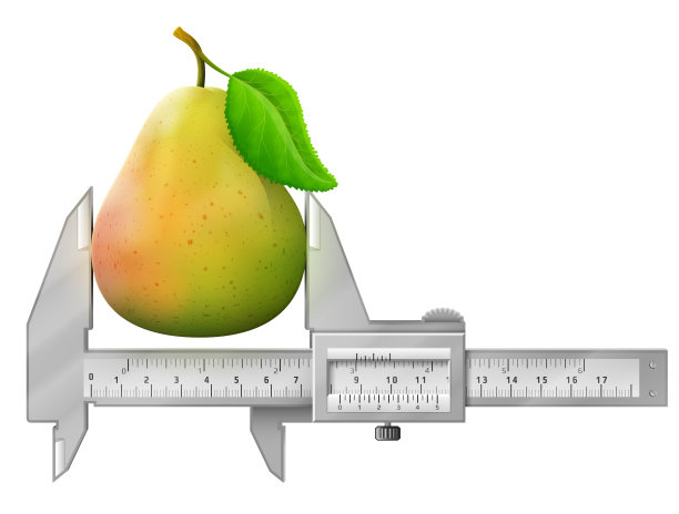 水平卡尺测量成熟的梨果实图片下载