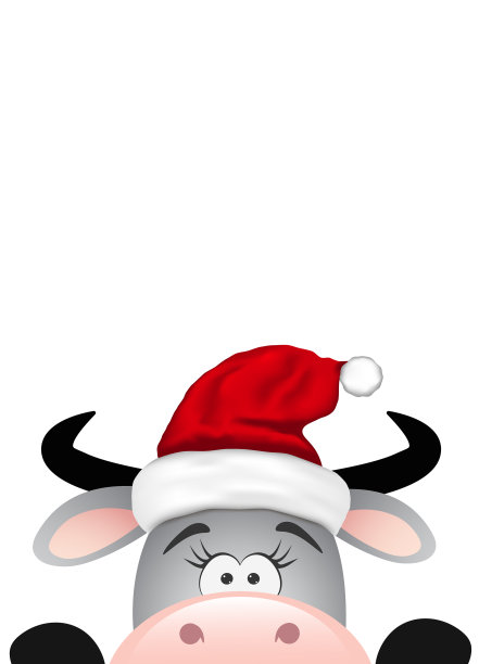 有趣的灰色公牛在白色的背景图片下载