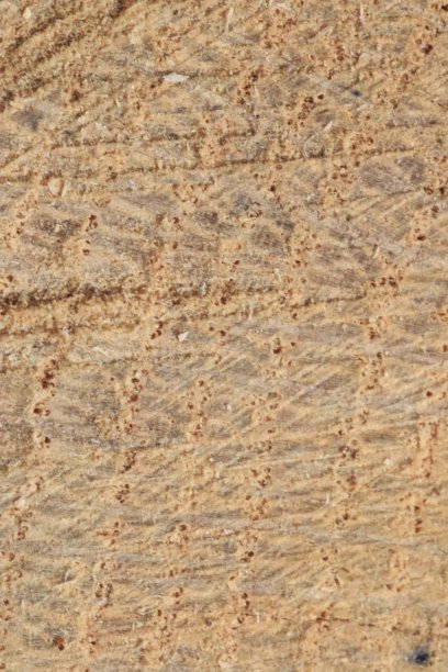 微距摄影的木材纹理图片下载