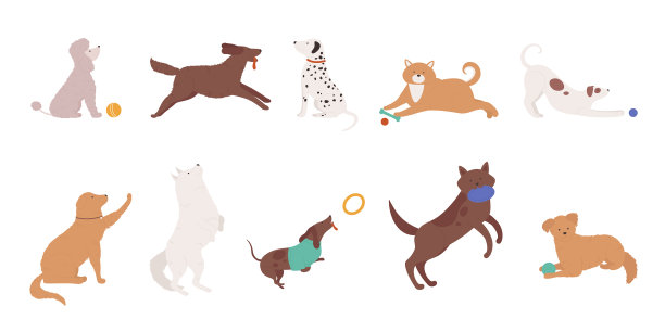 狗狗宠物玩卡通可爱的各种狗狗图片下载