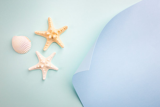 夏季海平躺图片下载