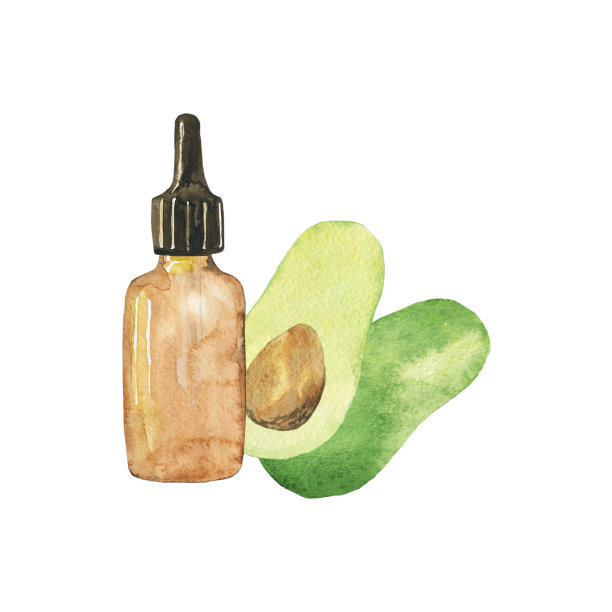 在白色背景上分离的鳄梨油。水彩手绘鳄梨和玻璃瓶。完美的美容和医疗海报，卡片，打印。图片下载