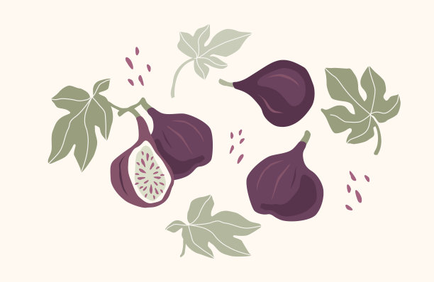 一组绘制的图形，矢量插图。孤立的元素。图片下载