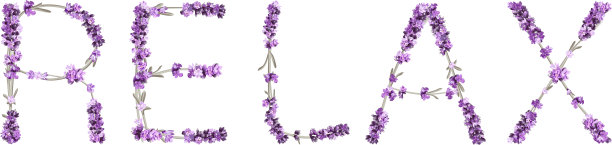矢量铭文放松的形式，薰衣草小枝在明亮的颜色图片下载