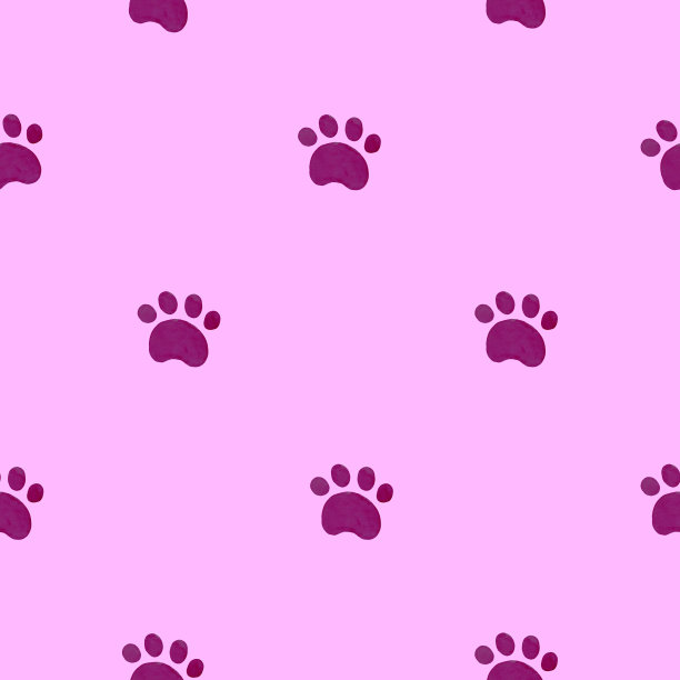 模式与爪子图片下载