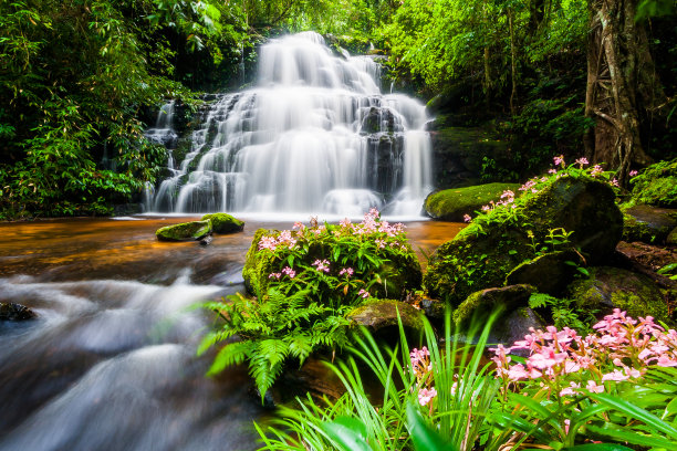 美丽的自然瀑布梯级岩石山与金鱼花图片下载