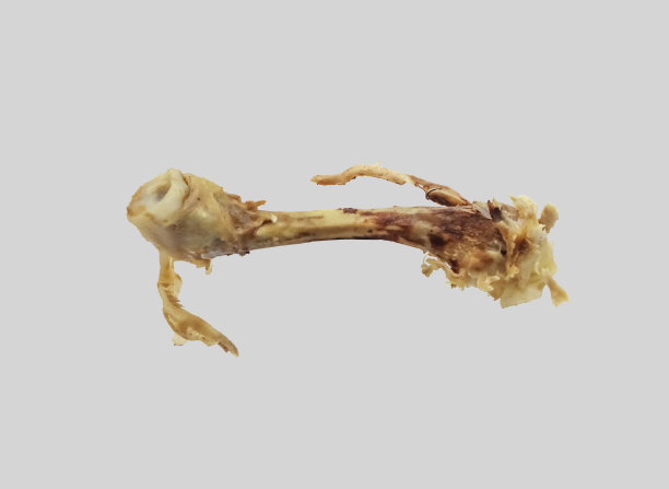 啃过的煮过的鸡骨头。图片下载