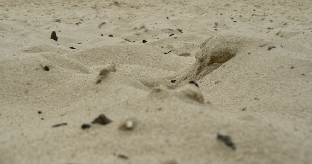 沙丘和山谷:沙子和卵石的特写图片下载