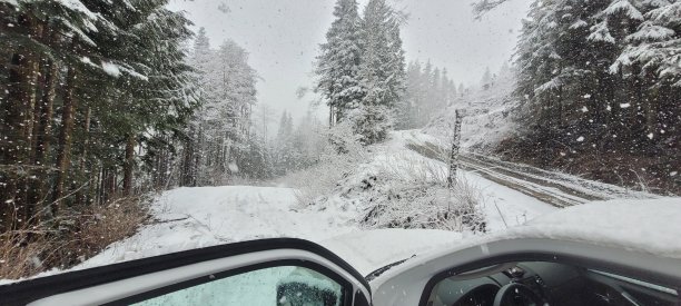 下雪的森林道路图片下载