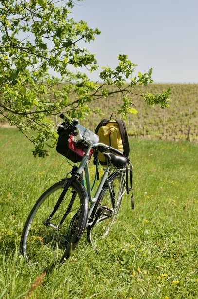 在田野里骑自行车图片下载