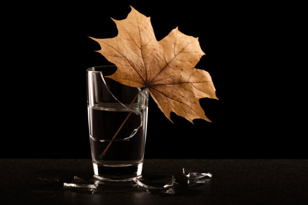 把一片秋叶的静物插进一杯破碎的水里图片下载
