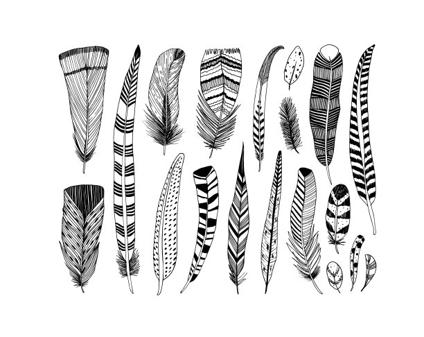 乡村装饰羽毛向量收集。图片下载