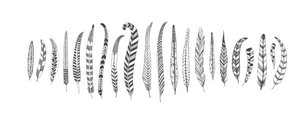 手绘乡村民族装饰长羽毛。图片下载