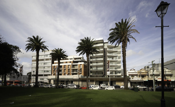 伯伍德天际线的观点，悉尼郊区，棕榈树，漂亮的建筑，蓝天新南威尔士州澳大利亚图片下载