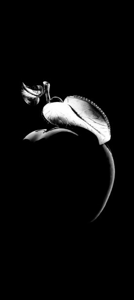 苹果香味黑白相间图片下载