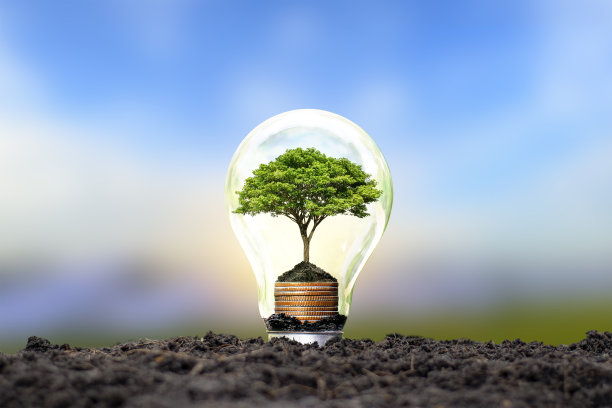 一棵生长在银币上的树在地球日的灯泡节能环保理念。图片下载