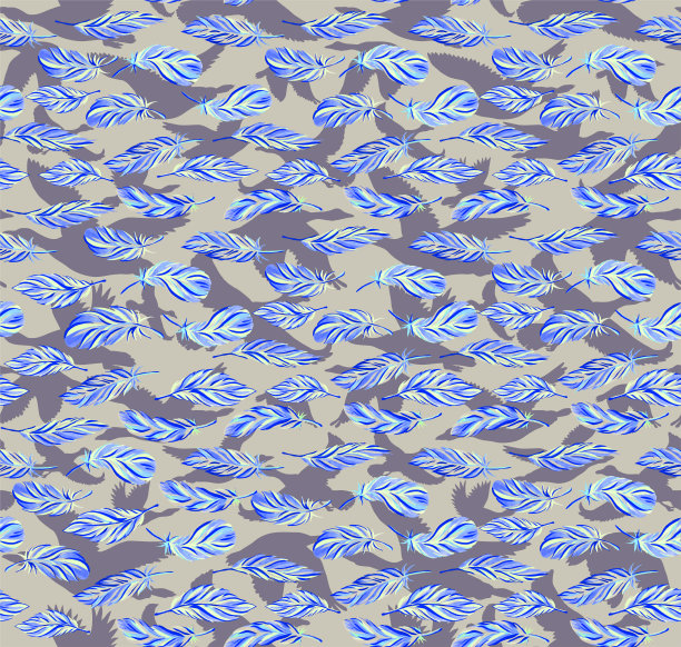 不同鸟类的羽毛背景图片下载