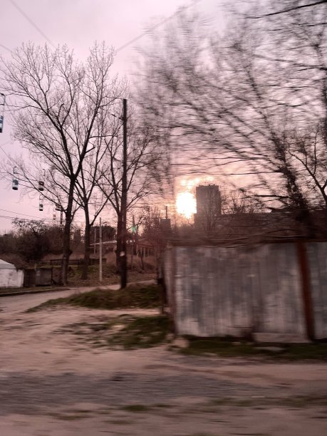 朦胧的树木上的夕阳图片下载